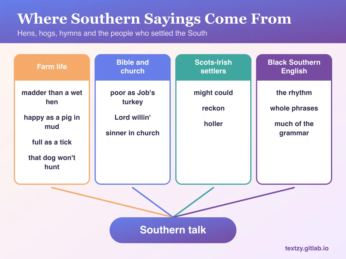 Where Southern sayings come from: farm life (madder than a wet hen, happy as a pig in mud, full as a tick), the Bible and church (poor as Job's turkey, Lord willin'), Scots-Irish settlers (might could, reckon, holler), and Black Southern English, which shaped the rhythm and many phrases.