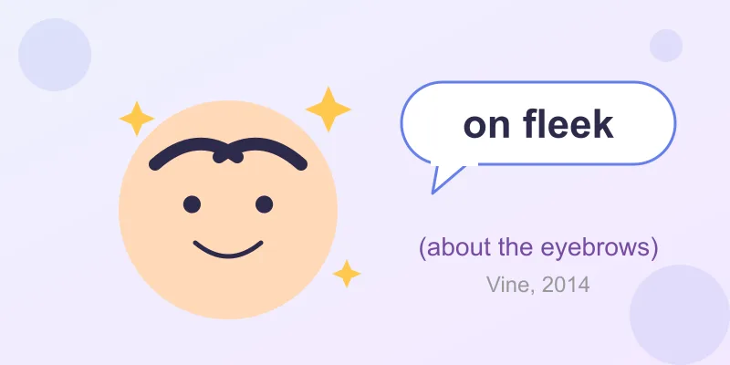 A cartoon face with perfect eyebrows and a speech bubble saying on fleek